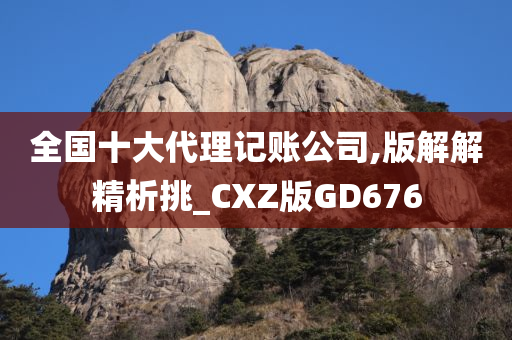 全国十大代理记账公司,版解解精析挑_CXZ版GD676