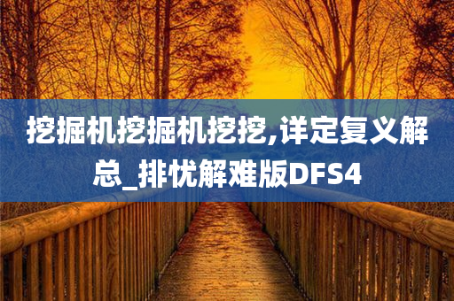 挖掘机挖掘机挖挖,详定复义解总_排忧解难版DFS4