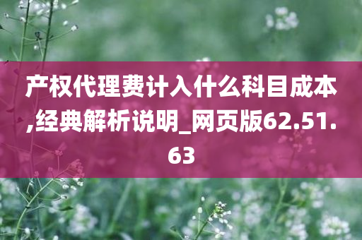 产权代理费计入什么科目成本,经典解析说明_网页版62.51.63