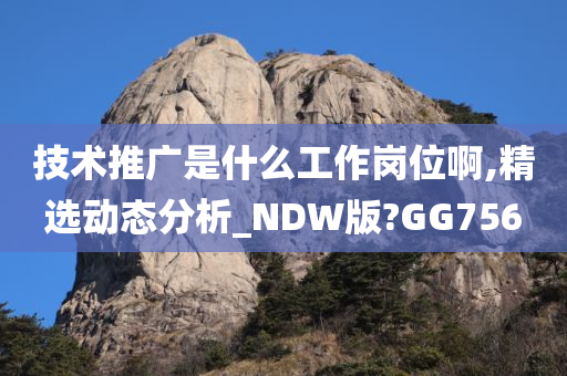 技术推广是什么工作岗位啊,精选动态分析_NDW版?GG756