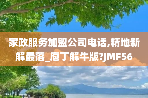 家政服务加盟公司电话,精地新解最落_庖丁解牛版?JMF56