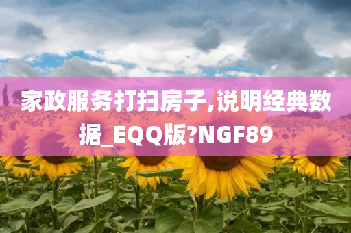 家政服务打扫房子,说明经典数据_EQQ版?NGF89