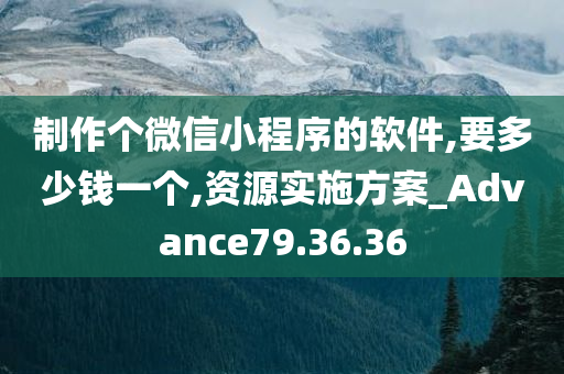 制作个微信小程序的软件,要多少钱一个,资源实施方案_Advance79.36.36