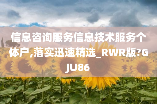 信息咨询服务信息技术服务个体户,落实迅速精选_RWR版?GJU86