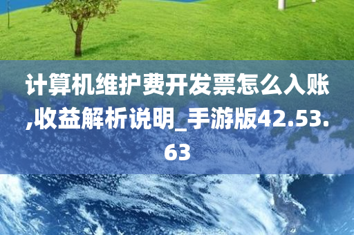 计算机维护费开发票怎么入账,收益解析说明_手游版42.53.63