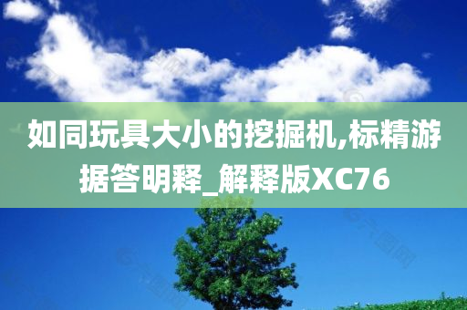 如同玩具大小的挖掘机,标精游据答明释_解释版XC76