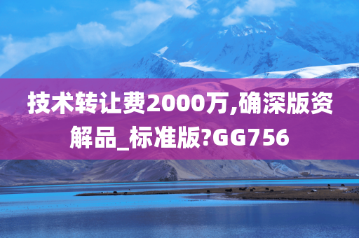 技术转让费2000万,确深版资解品_标准版?GG756