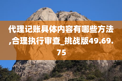 代理记账具体内容有哪些方法,合理执行审查_挑战版49.69.75