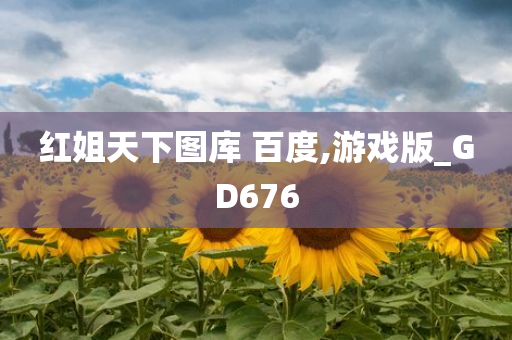 红姐天下图库 百度,游戏版_GD676