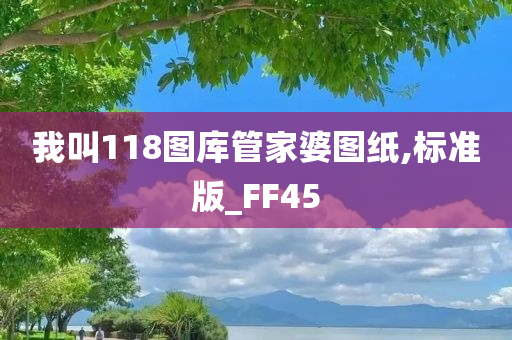 我叫118图库管家婆图纸,标准版_FF45