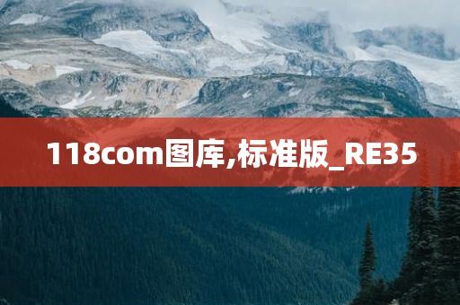 118com图库,标准版_RE35