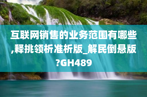 互联网销售的业务范围有哪些,释挑领析准析版_解民倒悬版?GH489