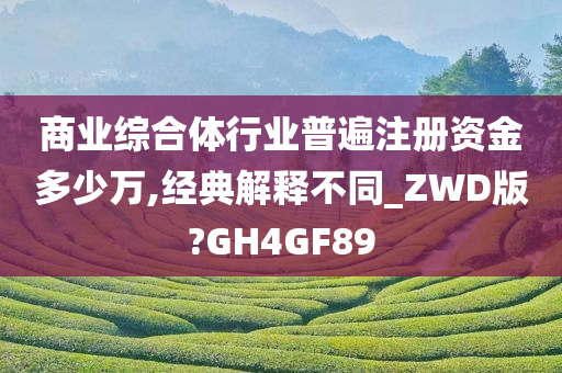 商业综合体行业普遍注册资金多少万,经典解释不同_ZWD版?GH4GF89