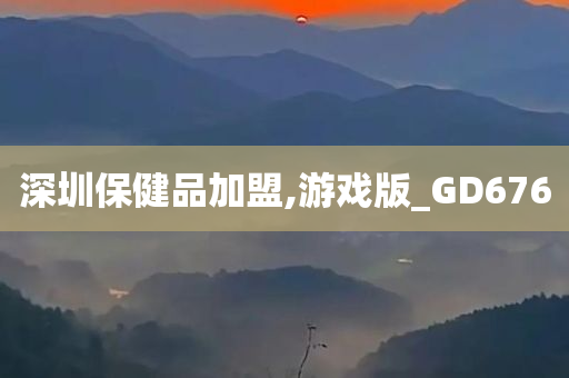 深圳保健品加盟,游戏版_GD676