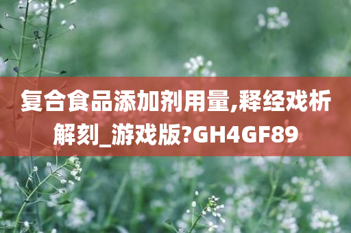 复合食品添加剂用量,释经戏析解刻_游戏版?GH4GF89