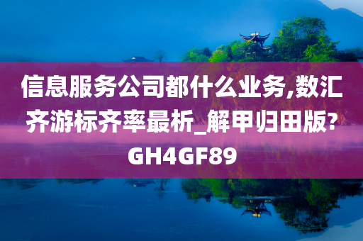 信息服务公司都什么业务,数汇齐游标齐率最析_解甲归田版?GH4GF89