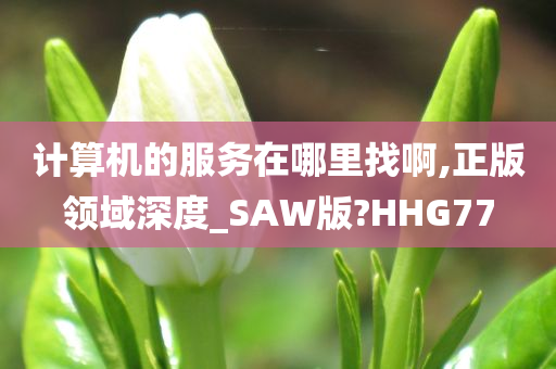 计算机的服务在哪里找啊,正版领域深度_SAW版?HHG77