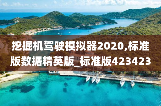 挖掘机驾驶模拟器2020,标准版数据精英版_标准版423423