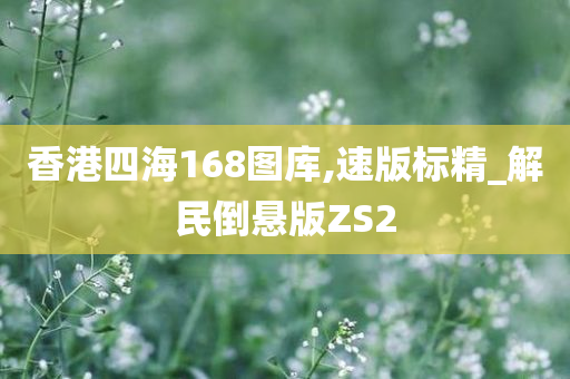 香港四海168图库,速版标精_解民倒悬版ZS2