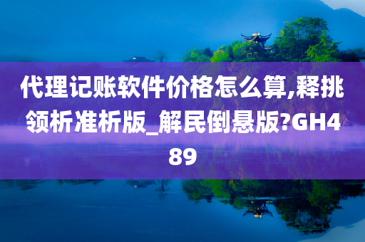 代理记账软件价格怎么算,释挑领析准析版_解民倒悬版?GH489