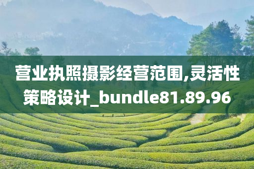 营业执照摄影经营范围,灵活性策略设计_bundle81.89.96