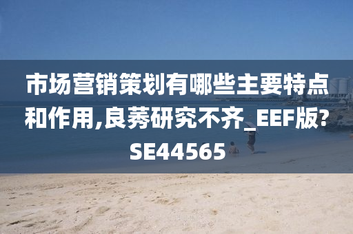 市场营销策划有哪些主要特点和作用,良莠研究不齐_EEF版?SE44565