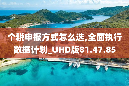 个税申报方式怎么选,全面执行数据计划_UHD版81.47.85