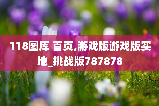 118图库 首页,游戏版游戏版实地_挑战版787878