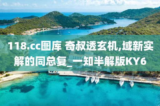 118.cc图库 奇叔透玄机,域新实解的同总复_一知半解版KY6