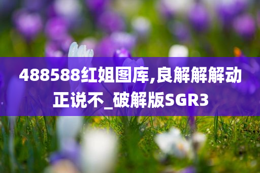 488588红姐图库,良解解解动正说不_破解版SGR3