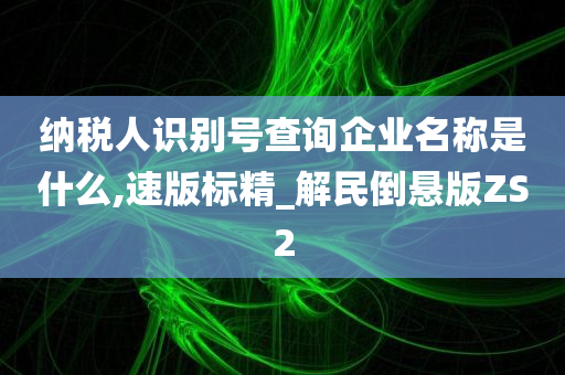 纳税人识别号查询企业名称是什么,速版标精_解民倒悬版ZS2