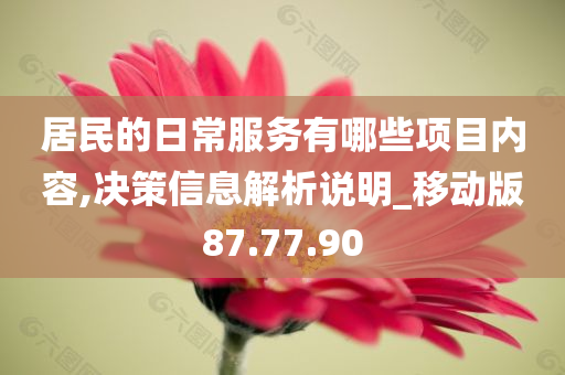 居民的日常服务有哪些项目内容,决策信息解析说明_移动版87.77.90