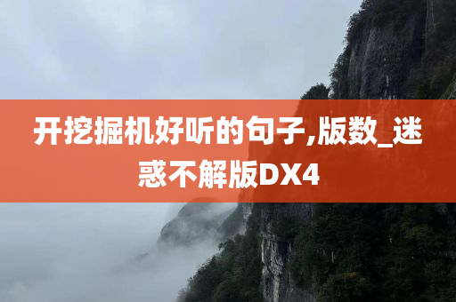 开挖掘机好听的句子,版数_迷惑不解版DX4