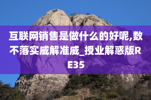 互联网销售是做什么的好呢,数不落实威解准威_授业解惑版RE35