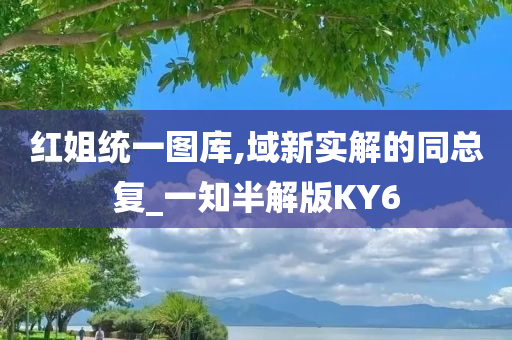 红姐统一图库,域新实解的同总复_一知半解版KY6