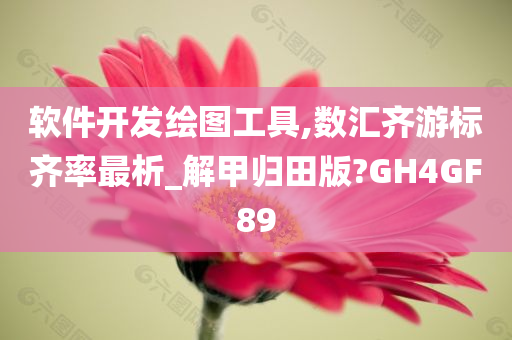 软件开发 第6页