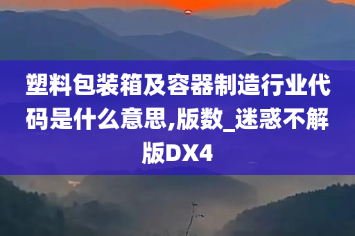 塑料包装箱及容器制造行业代码是什么意思,版数_迷惑不解版DX4