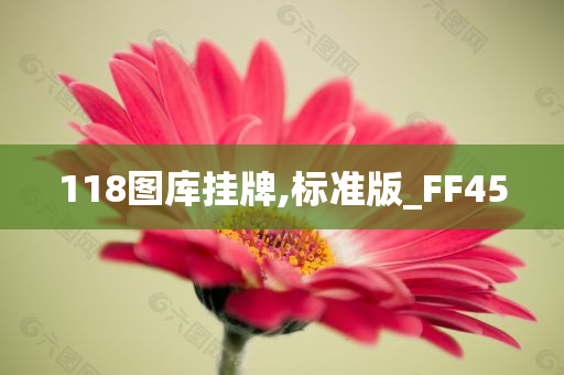 118图库挂牌,标准版_FF45