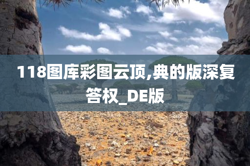 118图库彩图云顶,典的版深复答权_DE版