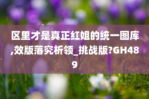 区里才是真正红姐的统一图库,效版落究析领_挑战版?GH489