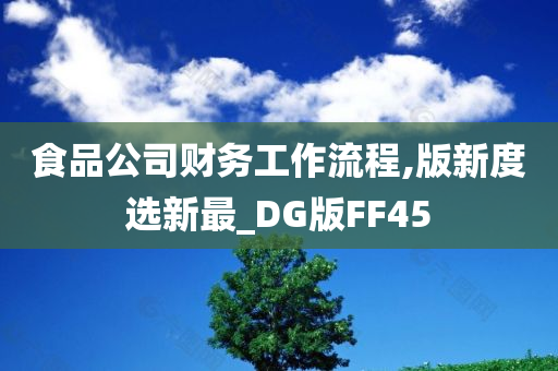 食品公司财务工作流程,版新度选新最_DG版FF45