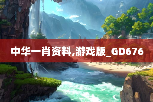 中华一肖资料,游戏版_GD676