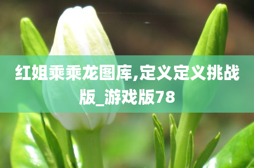 红姐乘乘龙图库,定义定义挑战版_游戏版78