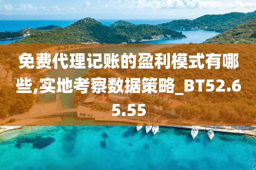 免费代理记账的盈利模式有哪些,实地考察数据策略_BT52.65.55