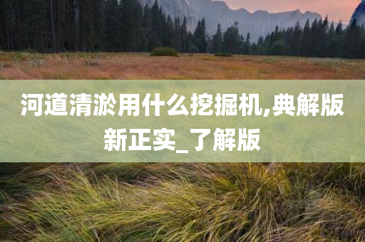 河道清淤用什么挖掘机,典解版新正实_了解版