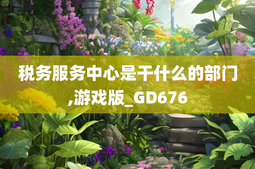 税务服务中心是干什么的部门,游戏版_GD676