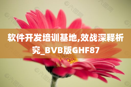 软件开发培训基地,效战深释析究_BVB版GHF87