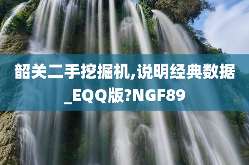 韶关二手挖掘机,说明经典数据_EQQ版?NGF89