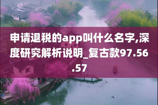 申请退税的app叫什么名字,深度研究解析说明_复古款97.56.57