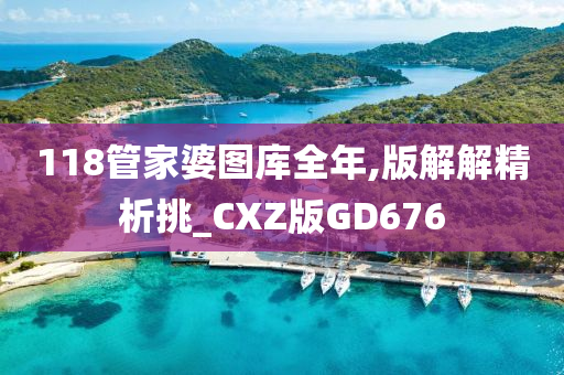 118管家婆图库全年,版解解精析挑_CXZ版GD676